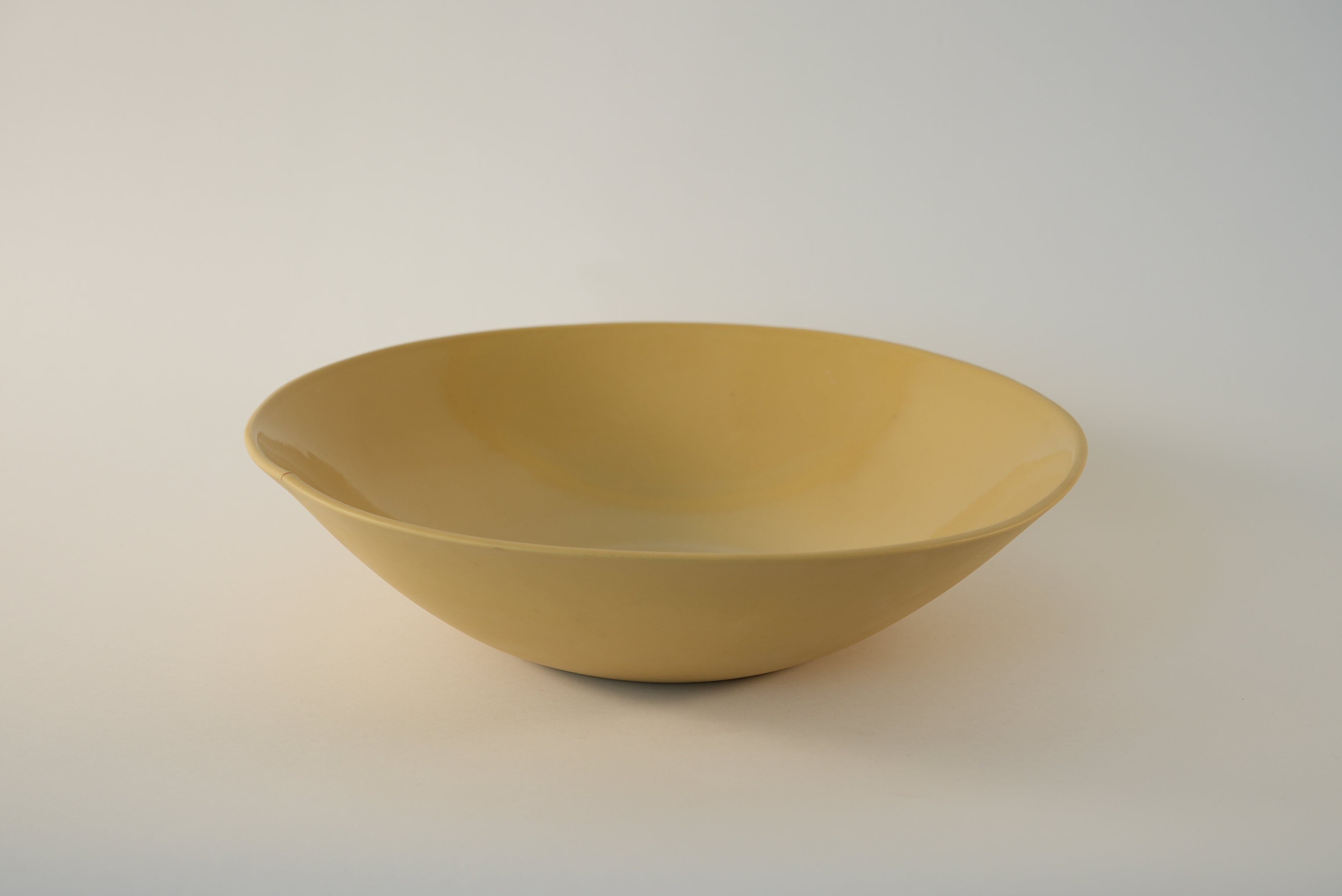 Salad Bowl / Multicolor